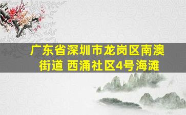 广东省深圳市龙岗区南澳街道 西涌社区4号海滩